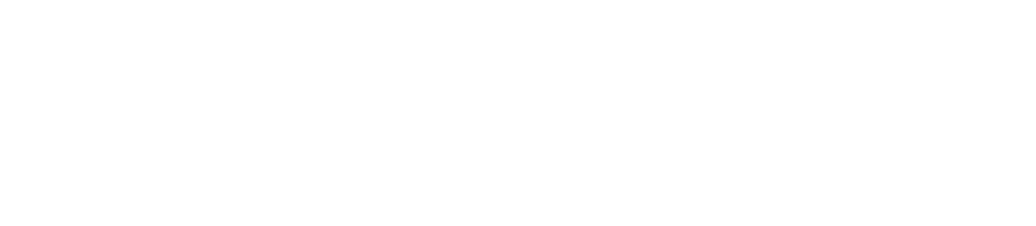fraudify Logo weiß