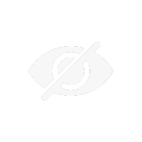 Privatsphäre Icon